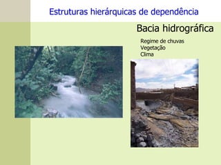 Estruturas hierárquicas de dependência Bacia hidrográfica Regime de chuvas Vegetação Clima 