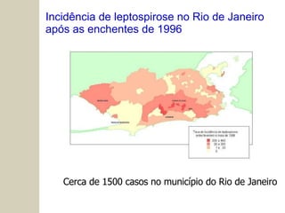Incidência de leptospirose no Rio de Janeiro após as enchentes de 1996 Cerca de 1500 casos no município do Rio de Janeiro 