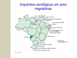 Inquéritos sorológicos em aves migratórias 
