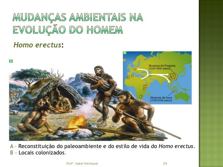 A Evolução Da Humanidade Tradicionalmente Se Divide Em