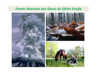 Fontes Naturais dos Gases de Efeito Estufa
  Geleira Chacaltaya na Bolívia
 