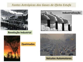 Fontes Antrópicas dos Gases de Efeito Estufa
       Geleira Chacaltaya na Bolívia
                                                   Industrialização




Revolução Industrial



             Queimadas




                                       Veículos Automotores
 