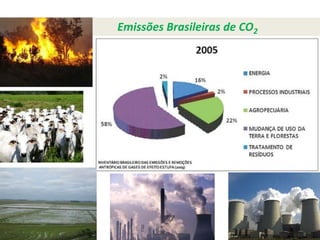 Emissões Brasileiras de CO2
 