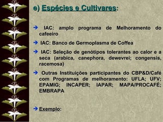 e)  Espécies e Cultivares :  IAC: amplo programa de Melhoramento do cafeeiro IAC: Banco de Germoplasma de Coffea IAC: Seleção de genótipos tolerantes ao calor e a seca (arabica, canephora, dewevrei; congensis, racemosa) Outras Instituições participantes do CBP&D/Café com Programas de melhoramento: UFLA; UFV; EPAMIG; INCAPER; IAPAR; MAPA/PROCAFÉ; EMBRAPA Exemplo : 