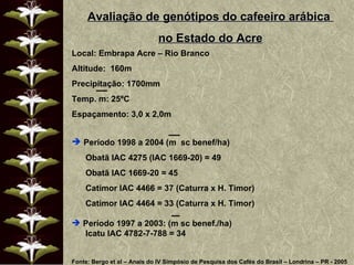 Avaliação de genótipos do cafeeiro arábica  no Estado do Acre Local: Embrapa Acre – Rio Branco Altitude:  160m Precipitação: 1700mm Temp. m: 25ºC Espaçamento: 3,0 x 2,0m Período 1998 a 2004 (m  sc benef/ha) Obatã IAC 4275 (IAC 1669-20) = 49 Obatã IAC 1669-20 = 45 Catimor IAC 4466 = 37 (Caturra x H. Timor) Catimor IAC 4464 = 33 (Caturra x H. Timor) Período 1997 a 2003: (m sc benef./ha) Icatu IAC 4782-7-788 = 34 Fonte: Bergo et al – Anais do IV Simpósio de Pesquisa dos Cafés do Brasil – Londrina – PR - 2005 