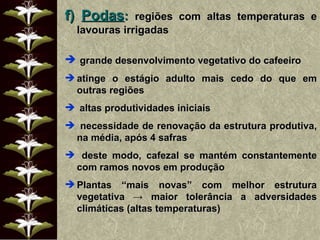 f)  Podas :  regiões com altas temperaturas e lavouras irrigadas grande desenvolvimento vegetativo do cafeeiro atinge o estágio adulto mais cedo do que em outras regiões altas produtividades iniciais necessidade de renovação da estrutura produtiva, na média, após 4 safras deste modo, cafezal se mantém constantemente com ramos novos em produção Plantas “mais novas” com melhor estrutura vegetativa  -> maior tolerância a adversidades climáticas (altas temperaturas) 