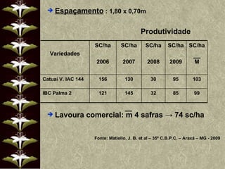 Espaçamento  : 1,80 x 0,70m Lavoura comercial: m 4 safras  -> 74 sc/ha Fonte: Matiello, J. B. et al – 35º C.B.P.C. – Araxá – MG - 2009 Produtividade Variedades SC/ha 2006 SC/ha 2007 SC/ha 2008 SC/ha 2009 SC/ha M Catuaí V. IAC 144 156 130 30 95 103 IBC Palma 2 121 145 32 85 99 
