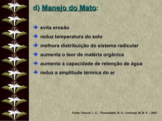 d)  Manejo do Mato :  evita erosão reduz temperatura do solo melhora distribuição do sistema radicular aumenta o teor de matéria orgânica aumenta a capacidade de retenção de água reduz a amplitude térmica do ar Fonte: Fazuoli, L. C. ; Thomaziello, R. A.; Camargo, M. B. P. – 2007 