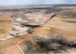 Imenso campo inexplorado de pesquisas – só se conhece 30% da sua faunaFloresta e Mudanças ClimáticasBrasil é o 4° maior emissor de Gases de Efeito Estufa (GEE) do mundo75% das suas emissões são provenientes do desmatamento e da conversão de solo, especialmente da Amazônia