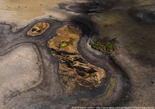 Desmatamento – ciclo clássico1. extração de espécies de alto valor comercial 2.”correntão”3. queimadaMadeira é o primeiro vetor!Fonte: PRODES - INPE 2009