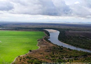 Desmatamento – principais vetoresExtração Ilegal de Madeira