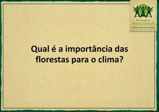 Qual é a importância das florestas para o clima?