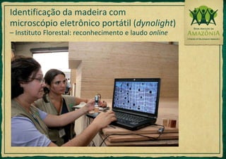 27% Outros Estado Sul – Sudeste