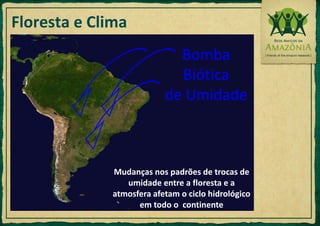 Bomba Bióticade UmidadeMudanças nos padrões de trocas de umidade entre a floresta e a atmosfera afetam o ciclo hidrológico em todo o  continenteFloresta e Clima