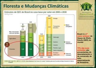 Concentra maior biodiversidade do mundo 