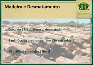 Estende-se por 9 países na América Latina