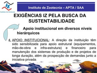 Instituto de Zootecnia – APTA / SAA EXIGÊNCIAS IZ PELA BUSCA DA SUSTENTABILIDADE Apoio institucional em diversos níveis hierárquicos 4. APOIO INSTITUCIONAL : A direção da instituição têm sido sensibilizada para apoio estrutural (equipamentos, mão-de-obra e infra-estrutura) e financeiro para manutenção dos sistemas de produção e de projetos de longa duração, além da prospecção de demandas junto a iniciativa privada ; 