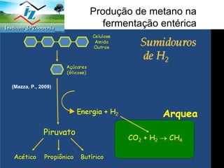 Produção de metano na  fermentação entérica  IPCC, 2006 (Mazza, P., 2009) 