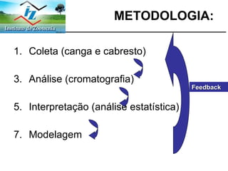METODOLOGIA: Coleta (canga e cabresto) Análise (cromatografia) Interpretação (análise estatística) Modelagem Feedback 