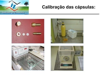 Calibração das cápsulas: 