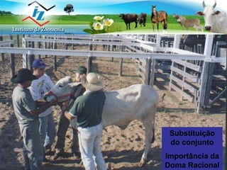 Substituição do conjunto Importância da Doma Racional 