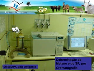 Determinação do Metano e do SF 6  por Cromatografia EMBRAPA Meio Ambiente 