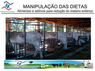 MANIPULAÇÃO DAS DIETAS Alimentos e aditivos para redução do metano entérico 