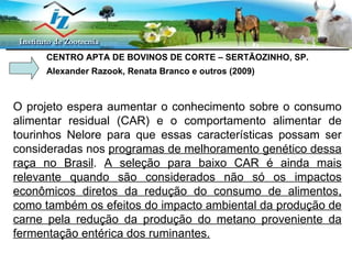 PESQUISAS EM ANDAMENTO - CAR O projeto espera aumentar o conhecimento sobre o consumo alimentar residual (CAR) e o comportamento alimentar de tourinhos Nelore para que essas características possam ser consideradas nos  programas de melhoramento genético dessa raça no Brasil .  A seleção para baixo CAR é ainda mais relevante quando são considerados não só os impactos econômicos diretos da redução do consumo de alimentos, como também os efeitos do impacto ambiental da produção de carne pela redução da produção do metano proveniente da fermentação entérica dos ruminantes.   CENTRO APTA DE BOVINOS DE CORTE – SERTÃOZINHO, SP. Alexander Razook, Renata Branco e outros (2009) 