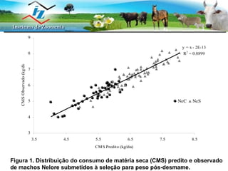 PESQUISAS EM ANDAMENTO - CAR Figura 1. Distribuição do consumo de matéria seca (CMS) predito e observado de machos Nelore submetidos à seleção para peso pós-desmame. 