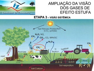 AMPLIAÇÃO DA VISÃO  DOS GASES DE  EFEITO ESTUFA ETAPA 3  – VISÃO SISTÊMICA 