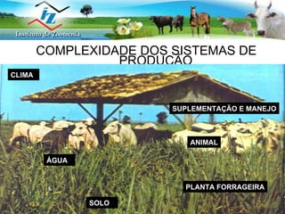 COMPLEXIDADE DOS SISTEMAS DE PRODUÇÃO SOLO CLIMA ANIMAL SUPLEMENTAÇÃO E MANEJO PLANTA FORRAGEIRA ÁGUA 