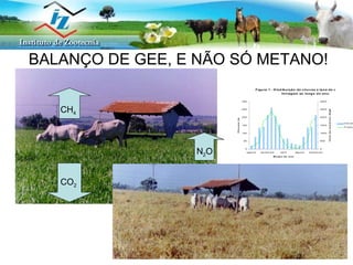 BALANÇO DE GEE, E NÃO SÓ METANO! CH 4 CO 2 N 2 O 