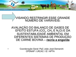 VISANDO RESTRINGIR ESSE GRANDE NÚMERO DE VARIÁVEIS: AVALIAÇÃO DO BALANÇO DE GASES DE EFEITO ESTUFA (CO 2 , CH 4  E N 2 O) E DA SUSTENTABILIDADE AMBIENTAL EM DIFERENTES SISTEMAS DE PRODUÇÃO DE CARNE BOVINA –  recria a engorda Coordenação Geral: PqC João José Demarchi CPDNAP / LRCAC / IZ / APTA 