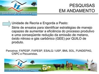 Unidade de Recria e Engorda a Pasto: Série de ensaios para identificar estratégias de manejo capazes de aumentar a eficiência do processo produtivo e uma conseqüente redução da emissão de metano, óxido nitroso e gás carbônico (GEE) por QUILO de produto. Parceiros: FAPESP, FAPESP, ESALQ / USP, BML SOL, FUNDEPAG, CNPC e Pecuaristas. PESQUISAS  EM ANDAMENTO 