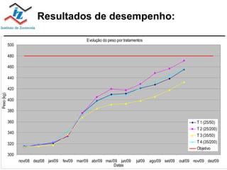 Resultados de desempenho: 