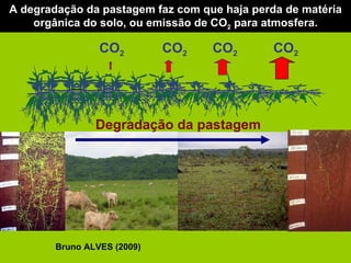 A degradação da pastagem faz com que haja perda de matéria orgânica do solo, ou emissão de CO 2  para atmosfera. CO 2 CO 2 CO 2 CO 2 Degradação da pastagem Bruno ALVES (2009) 