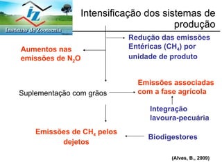 Intensificação dos sistemas de produção Suplementação com grãos Redução das emissões Entéricas (CH 4 ) por unidade de produto Aumentos nas  emissões de N 2 O Emissões associadas com a fase agrícola Emissões de CH 4  pelos dejetos Biodigestores Integração lavoura-pecuária (Alves, B., 2009) 