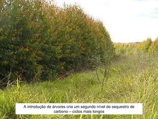 There is a lot of questions to be answered by research, and a lot of technology to be generated for producers Opportunities  : A introdução de árvores cria um segundo nível de sequestro de carbono – ciclos mais longos 