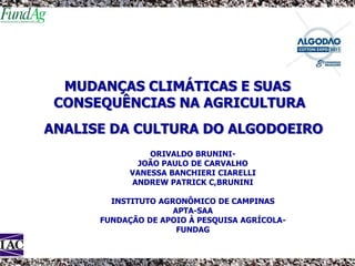 MUDANÇAS CLIMÁTICAS E SUAS
CONSEQUÊNCIAS NA AGRICULTURA
ANALISE DA CULTURA DO ALGODOEIRO
ORIVALDO BRUNINI-
JOÃO PAULO DE CARVALHO
VANESSA BANCHIERI CIARELLI
ANDREW PATRICK C,BRUNINI
INSTITUTO AGRONÔMICO DE CAMPINAS
APTA-SAA
FUNDAÇÃO DE APOIO À PESQUISA AGRÍCOLA-
FUNDAG
 