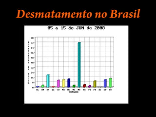 Queimadas e incêndiosAs queimadas e incêndios florestais as vezes ocorrem por motivos econômicos. Ocorrem incêndios por  irresponsabilidade de motoristas. Bombeiros afirmam que muitos incêndios tem como causa inicial as pontas de cigarros jogadas nas beiradas das rodovias.AÇÃO É SOLUÇÃO!Se cada ser humano se conscientizar de que cada um pode fazer a diferença, com certeza teremos uma melhora considerável. Se cada pessoa fizer o mínimo possível, talvez possamos salvar nosso planeta de um desastre, mas para que isso aconteça é preciso AÇÃO! 
