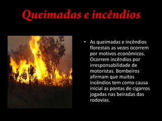 Para saber mais sobre os assuntos citados, acesse os links abaixo:http://knowledge.allianz.com.br/br/climate_change/global_warming_ipcc_report_facts.htmlhttp://pt.wikipedia.org/wiki/Mudan%C3%A7a_do_climahttp://unic.un.org/imucms/Dish.aspx?loc=64&pg=59
