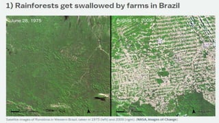 Mudanças Globais Global Changes