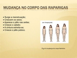 Mudança no corpo das raparigas · Surge a menstruação;· Crescem os seios;· Aparece o pêlo nas axilas;· Cresce o cabelo;· A cintura estreita-se;· Cresce o pêlo púbico. Fig.4 A mudança do corpo feminino