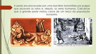 A peste era provocada por uma bactéria transmitida por pulgas
que picavam os ratos e, depois, os seres humanos. Calcula-se
que a grande peste matou cerce de um terço da população
europeia.
 
