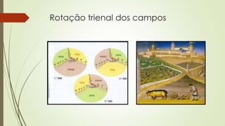 Rotação trienal dos campos
 