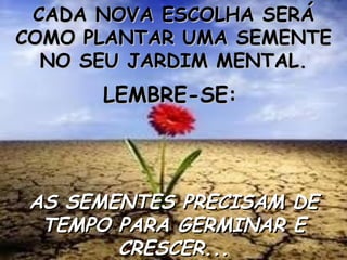 CADA NOVA ESCOLHA SERÁ COMO PLANTAR UMA SEMENTE NO SEU JARDIM MENTAL. LEMBRE-SE:   AS SEMENTES PRECISAM DE TEMPO PARA GERMINAR E CRESCER... 