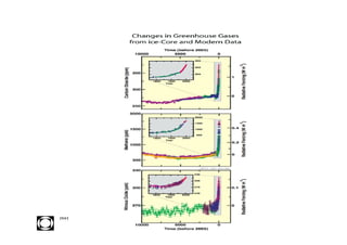 INST ITU T O M A U Á D E T EC N O L O G IA - IM T
 