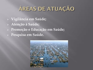  Vigilância em Saúde;
 Atenção à Saúde;
 Promoção e Educação em Saúde;
 Pesquisa em Saúde.
 
