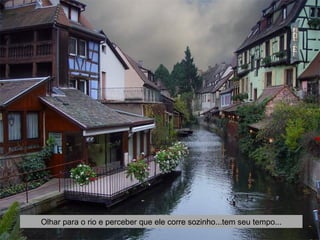 Olhar para o rio e perceber que ele corre sozinho...tem seu tempo...
 