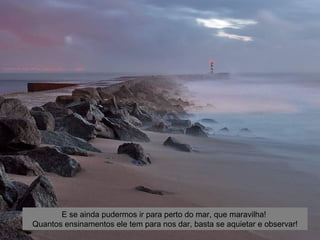 E se ainda pudermos ir para perto do mar, que maravilha!
Quantos ensinamentos ele tem para nos dar, basta se aquietar e observar!
 